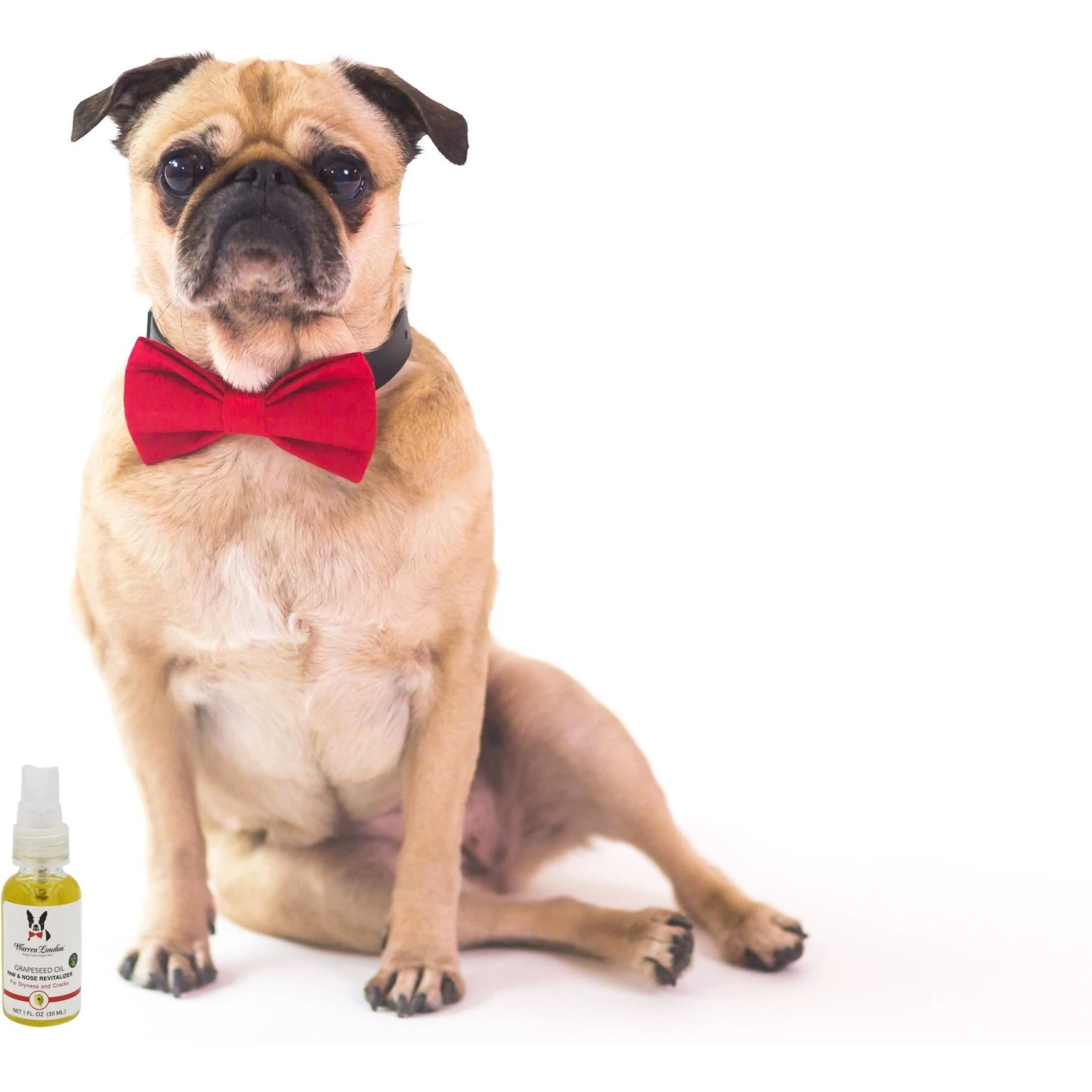 Warren London Grapeseed Oil Paw & Nose Revitalizer Spray 5 Warren London Grapeseed Oil Paw & Nose Revitalizer Spray - Image 5