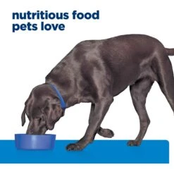 Hill's Prescription Diet D/d Skin/Food Sensitivities Potato & Venison Dry Dog Food -Pet Wellness 113451 PT6. AC SS1800 V1668616134
