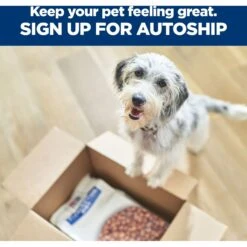 Hill's Prescription Diet D/d Skin/Food Sensitivities Potato & Venison Dry Dog Food -Pet Wellness 113451 PT8. AC SS1800 V1668616083