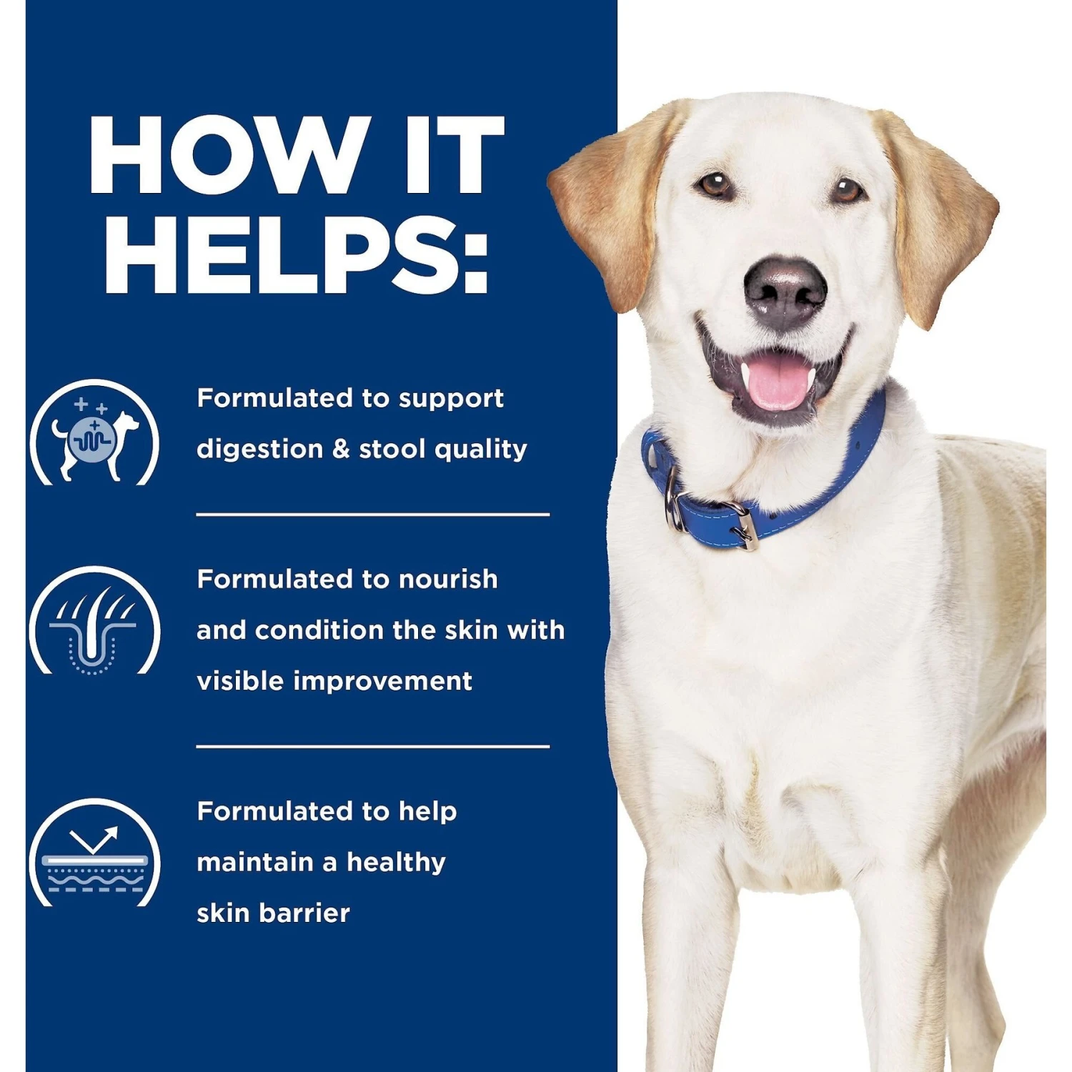 Hill's Prescription Diet D/d Skin/Food Sensitivities Potato & Duck Recipe Dry Dog Food 5 Hill's Prescription Diet D/d Skin/Food Sensitivities Potato & Duck Recipe Dry Dog Food - Image 5