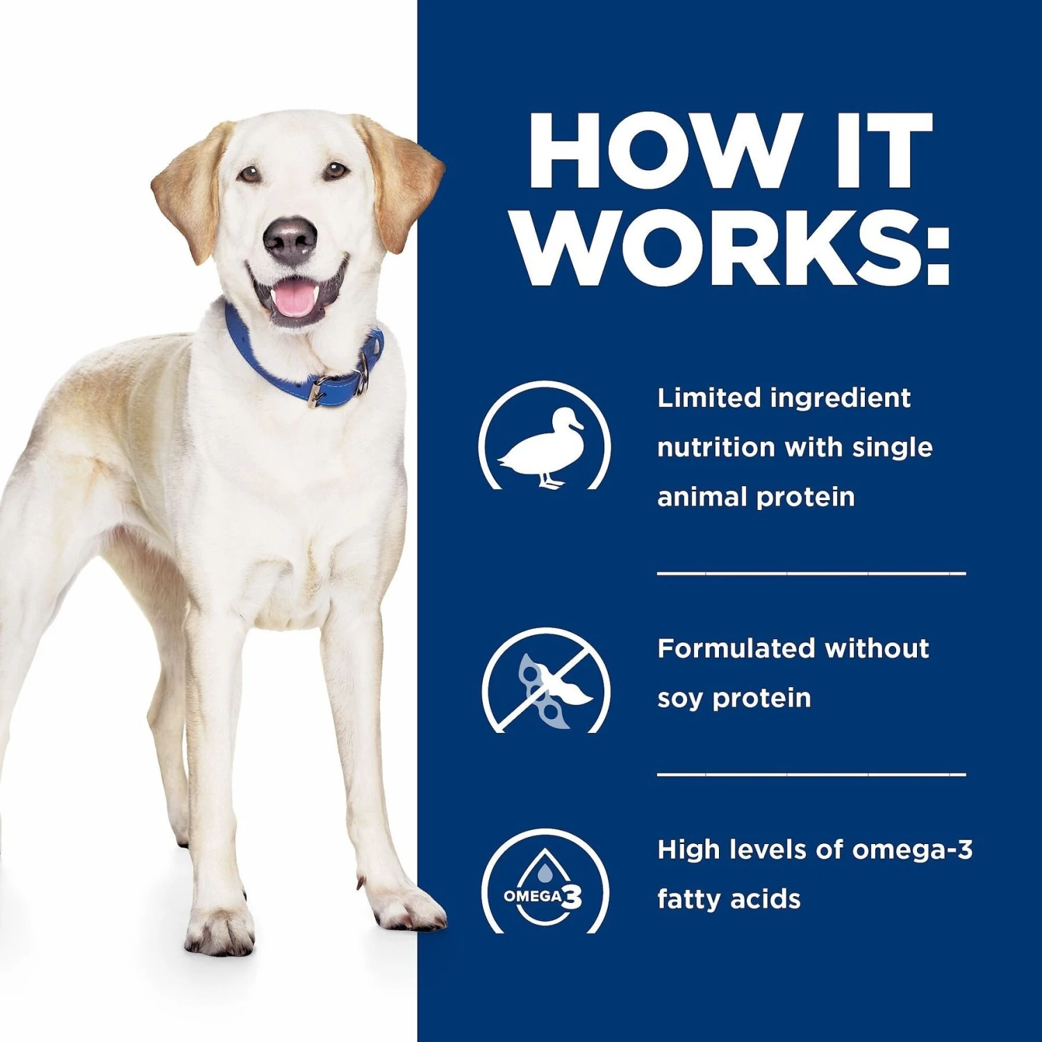 Hill's Prescription Diet D/d Skin/Food Sensitivities Potato & Duck Recipe Dry Dog Food 6 Hill's Prescription Diet D/d Skin/Food Sensitivities Potato & Duck Recipe Dry Dog Food - Image 6