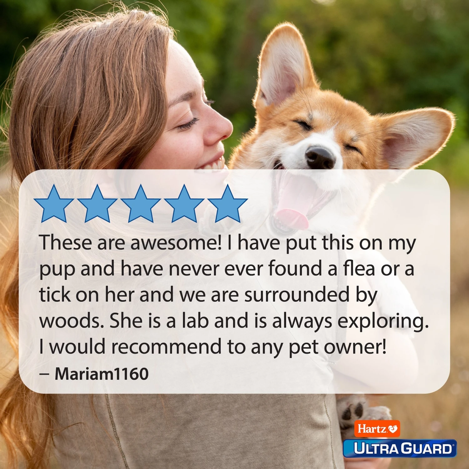 Hartz UltraGuard Plus Flea & Tick Collar For Dogs, Medium & Large Breeds 7 Hartz UltraGuard Plus Flea & Tick Collar For Dogs, Medium & Large Breeds - Image 7