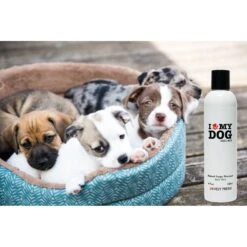 Lovely Fresh "I Love My Dog" Aloe Vera Puppy Shampoo -Pet Wellness 114222 PT4. AC SS1800 V1543859878