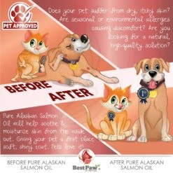 Best Paw Nutrition Pure Alaskan Salmon Oil Dog & Cat Supplement -Pet Wellness 114527 PT6. AC SS1800 V1595900758