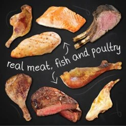 Hound & Gatos 98% Salmon & Lamb Liver Grain-Free Canned Dog Food -Pet Wellness 115069 PT5. AC SS1800 V1594911963