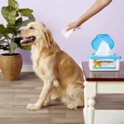 Petkin Petwipes Fresh Scent Dog & Cat Wipes -Pet Wellness 115304 PT3. AC SS1800 V1543860288