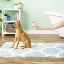 Zymox Topical Dog & Cat Spray 11 Zymox Topical Dog & Cat Spray -Pet Wellness 116140 PT3. AC SS1800 V1543860766