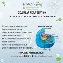 Best Paw Nutrition Premium Dream Glucosamine Joint Support Dog & Cat Liquid Supplement, Bacon Flavor -Pet Wellness 117167 PT6. AC SS1800 V1491396733