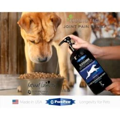 Best Paw Nutrition Premium Dream Glucosamine Joint Support Dog & Cat Liquid Supplement, Natural Unflavored 8 Best Paw Nutrition Premium Dream Glucosamine Joint Support Dog & Cat Liquid Supplement, Natural Unflavored -Pet Wellness 117171 PT2. AC SS1800 V1491396717