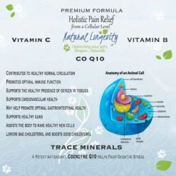 Best Paw Nutrition Premium Dream Glucosamine Joint Support Dog & Cat Liquid Supplement, Natural Unflavored 11 Best Paw Nutrition Premium Dream Glucosamine Joint Support Dog & Cat Liquid Supplement, Natural Unflavored -Pet Wellness 117171 PT5. AC SS1800 V1491396721