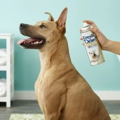 PetAg Fresh 'N Clean Dog Tropical Scent Cologne Spray -Pet Wellness 118751 PT3. AC SS1800 V1543876715