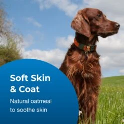 PetAg Fresh 'N Clean Oatmeal 'N Baking Soda Dog Shampoo -Pet Wellness 118818 PT3. AC SS1800 V1543876936