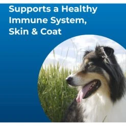 PetAg Dyne Vanilla Flavored Liquid High Calorie Supplement For Dogs -Pet Wellness 118900 PT4. AC SS1800 V1521734081