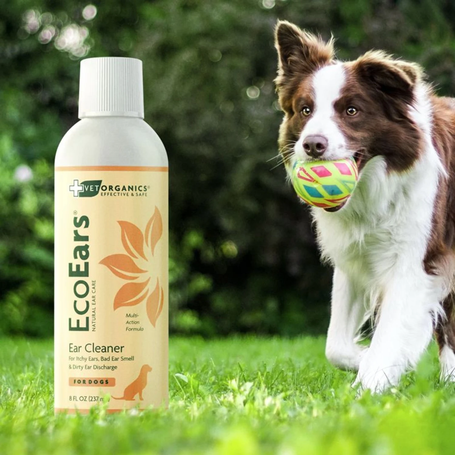 Vet Organics EcoEars Dog Ear Cleaner 4 Vet Organics EcoEars Dog Ear Cleaner - Image 4