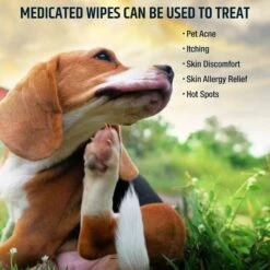 Pet MD Chlorhexidine Antiseptic Wipes For Dogs & Cats 8 Pet MD Chlorhexidine Antiseptic Wipes For Dogs & Cats -Pet Wellness 119446 PT2. AC SS1800 V1659886950