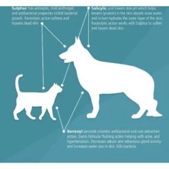 Pet MD Antiseptic & Antifungal Medicated Spray For Dogs, Cats & Horses 9 Pet MD Antiseptic & Antifungal Medicated Spray For Dogs, Cats & Horses -Pet Wellness 119456 PT3. AC SS1800 V1659886889