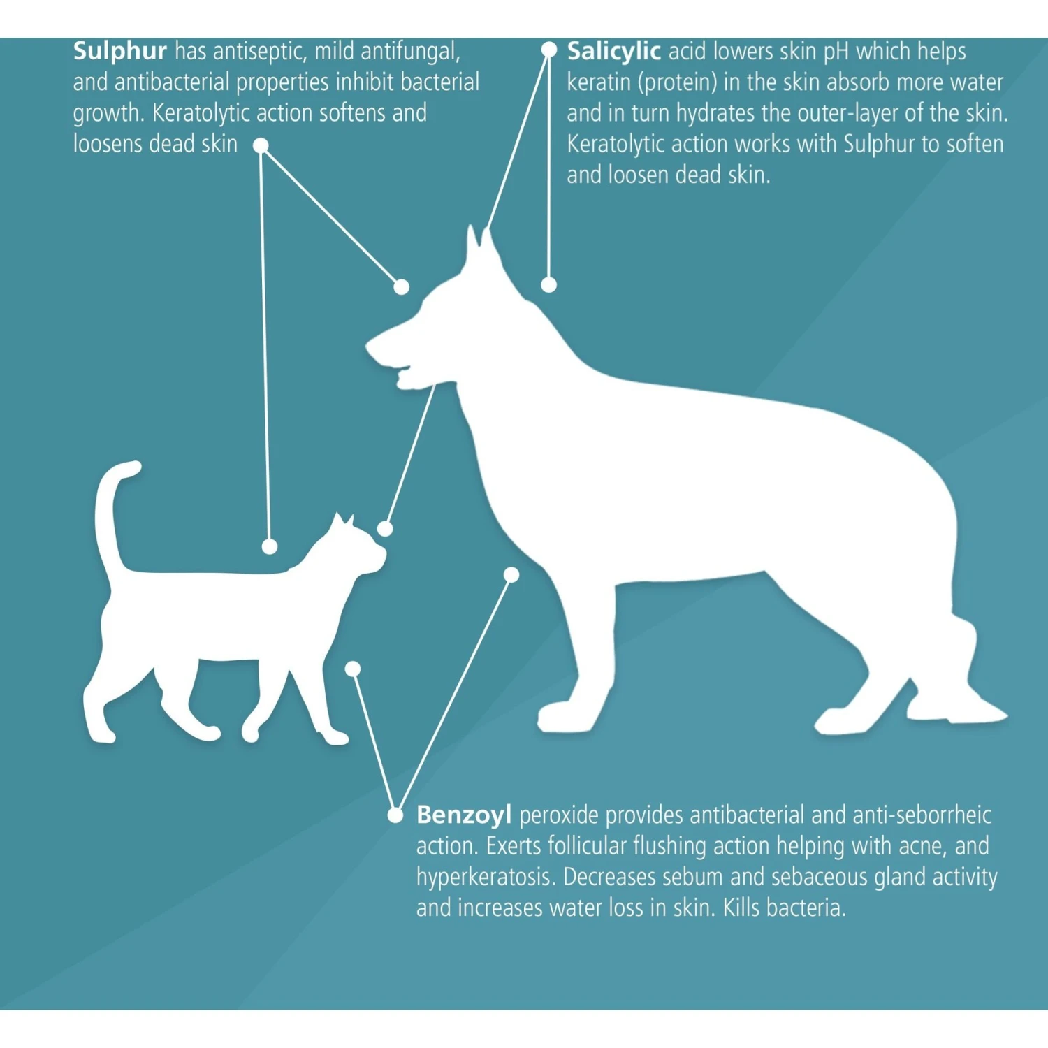 Pet MD Antiseptic & Antifungal Medicated Spray For Dogs, Cats & Horses 4 Pet MD Antiseptic & Antifungal Medicated Spray For Dogs, Cats & Horses - Image 4