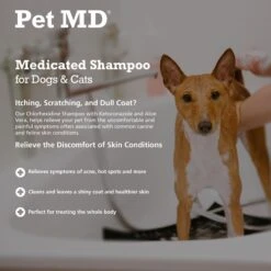 Pet MD Antiseptic & Antifungal Medicated Dog, Cat & Horse Shampoo -Pet Wellness 119489 PT2. AC SS1800 V1659886889