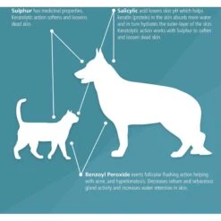 Pet MD Antiseptic & Antifungal Medicated Dog, Cat & Horse Shampoo -Pet Wellness 119489 PT3. AC SS1800 V1659886831