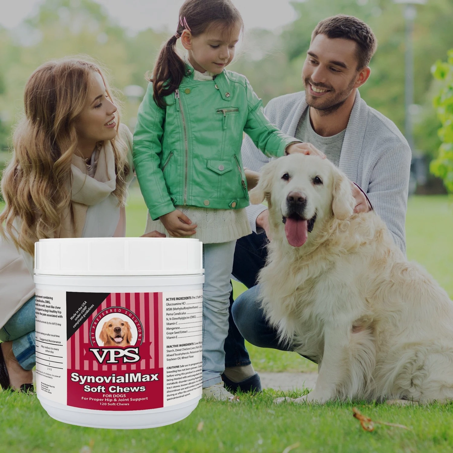 VPS SynovialMax Hip & Joint Support Soft Chew Dog Supplement 4 VPS SynovialMax Hip & Joint Support Soft Chew Dog Supplement - Image 4