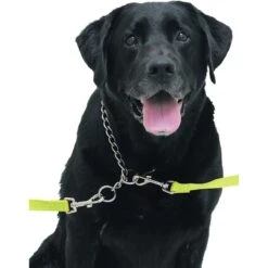 Rinse Ace Dog Bathing Tethers -Pet Wellness 120731 PT2. AC SS1800 V1492808822