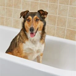 Rinse Ace Pet Hair Snare Drain Catcher -Pet Wellness 120733 PT3. AC SS1800 V1492808824