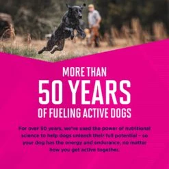 Eukanuba Puppy With Lamb & Rice Canned Dog Food -Pet Wellness 121996 PT6. AC SS1800 V1494353283