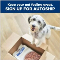 Hill's Prescription Diet K/d Kidney Care + Mobility Care With Chicken & Vegetable Stew Canned Dog Food -Pet Wellness 122115 PT8. AC SS1800 V1688761273