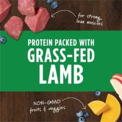 Instinct Raw Boost Mixers Lamb Recipe Grain-Free Freeze-Dried Dog Food Topper -Pet Wellness 122371 PT3. AC SS1800 V1690554682