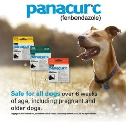 Panacur C Canine Dewormer, 1-g, 3 Count -Pet Wellness 122784 PT7. AC SS1800 V1569863525