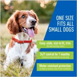 Adams® Adams Flea & Tick Collar For Dogs, Extra Small/Toy & Small Breeds -Pet Wellness 122959 PT2. AC SS1800 V1696533206