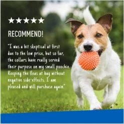 Adams® Adams Flea & Tick Collar For Dogs, Extra Small/Toy & Small Breeds -Pet Wellness 122959 PT6. AC SS1800 V1696533257