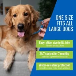 Adams® Adams Flea & Tick Collar For Dogs, Medium, Large, & Giant Breeds, 1 Collar (7-mos. Supply) -Pet Wellness 122961 PT2. AC SS1800 V1696520805