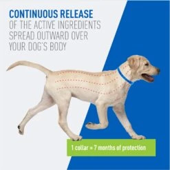 Adams® Adams Flea & Tick Collar For Dogs, Medium, Large, & Giant Breeds, 1 Collar (7-mos. Supply) -Pet Wellness 122961 PT3. AC SS1800 V1696533203