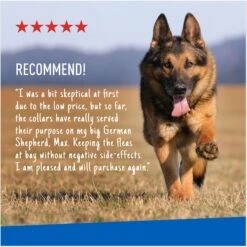 Adams® Adams Flea & Tick Collar For Dogs, Medium, Large, & Giant Breeds, 1 Collar (7-mos. Supply) -Pet Wellness 122961 PT6. AC SS1800 V1696533770