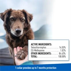 Adams® Adams Flea & Tick Collar For Dogs, Medium, Large, & Giant Breeds, 1 Collar (7-mos. Supply) -Pet Wellness 122961 PT7. AC SS1800 V1696533768