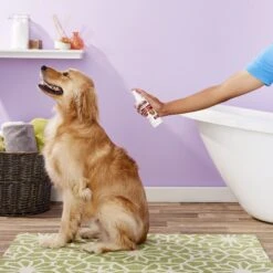 Sulfodene Medicated Hot Spot & Itch Relief Spray For Dogs -Pet Wellness 123011 PT8. AC SS1800 V1543878122