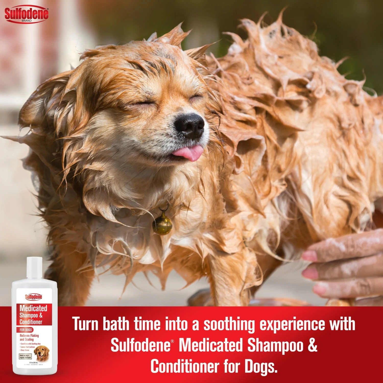 Sulfodene Medicated Dog Shampoo & Conditioner 3 Sulfodene Medicated Dog Shampoo & Conditioner - Image 3