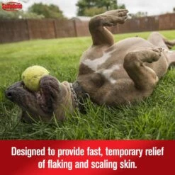 Sulfodene Medicated Dog Shampoo & Conditioner 12 Sulfodene Medicated Dog Shampoo & Conditioner -Pet Wellness 123015 PT3. AC SS1800 V1677529362