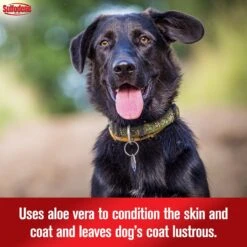 Sulfodene Medicated Dog Shampoo & Conditioner 13 Sulfodene Medicated Dog Shampoo & Conditioner -Pet Wellness 123015 PT4. AC SS1800 V1677531790