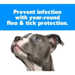 Zodiac Flea & Tick Spot Treatment For Dogs, Over 60 Lbs 5 Zodiac Flea & Tick Spot Treatment For Dogs, Over 60 Lbs -Pet Wellness 123088 PT5. AC SS1800 V1677269570