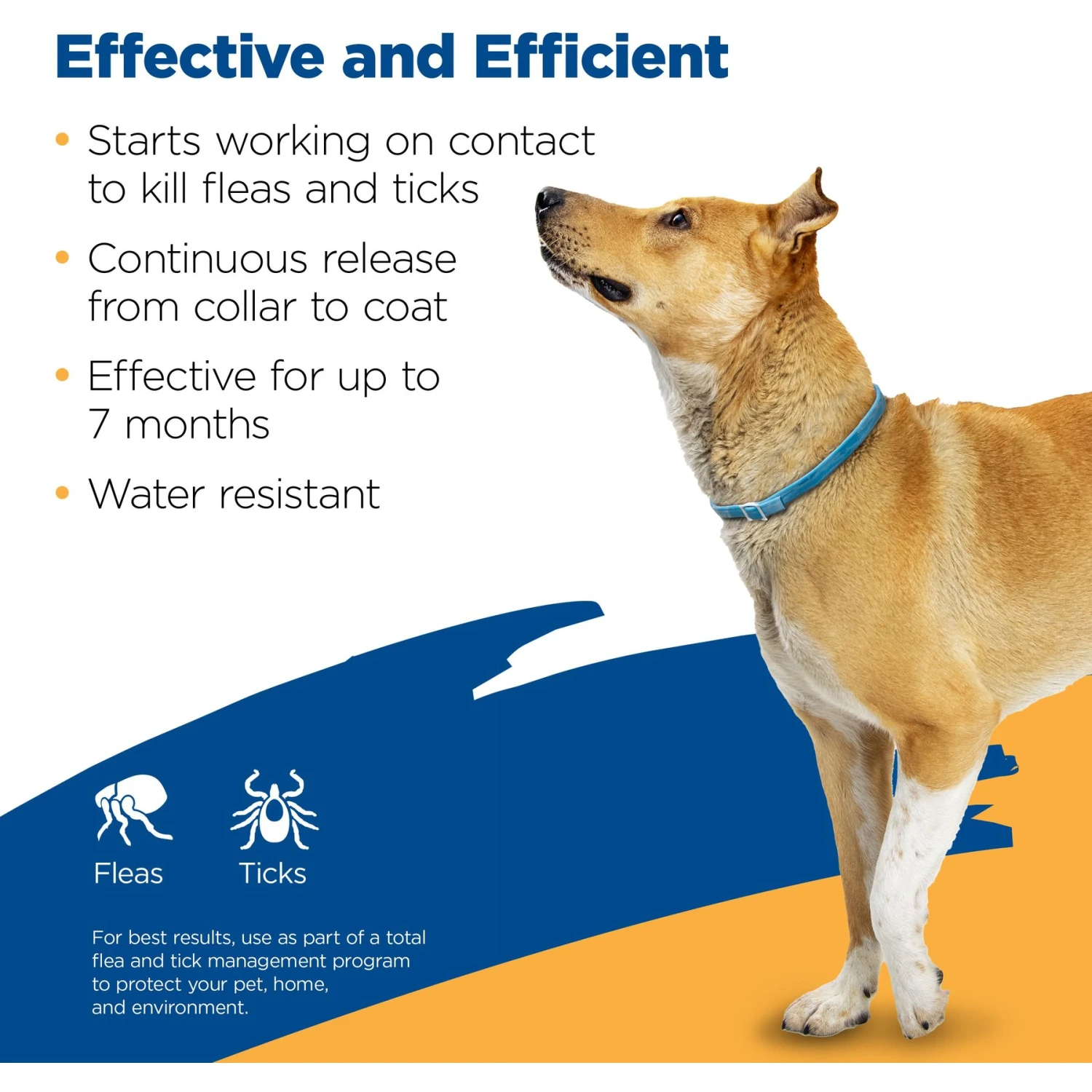 Zodiac Flea & Tick Collar For Dogs, Medium, Large & Giant Breeds 2 Zodiac Flea & Tick Collar For Dogs, Medium, Large & Giant Breeds - Image 2