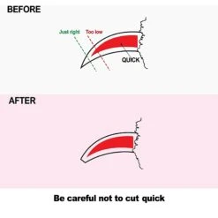 Hertzko Angled Blade Dog, Cat, & Small Pet Nail Scissors -Pet Wellness 123376 PT5. AC SS1800 V1495807260