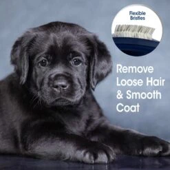 Four Paws Magic Coat Professional Series Gentle Slicker Brush -Pet Wellness 124546 PT5. AC SS1800 V1691606804