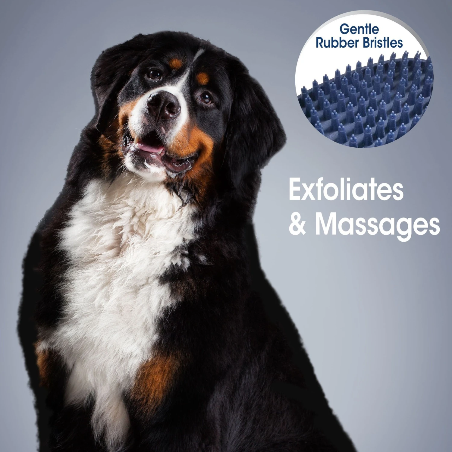 Four Paws Magic Coat Professional Series All-In-One Wet & Dry Dog Glove & Curry Brush 5 Four Paws Magic Coat Professional Series All-In-One Wet & Dry Dog Glove & Curry Brush - Image 5