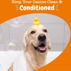 Zesty Paws Itch Soother Dog Conditioner With Oatmeal & Aloe Vera, For Skin Moisture & Shiny Coats -Pet Wellness 124709 PT4. AC SS1800 V1699024073