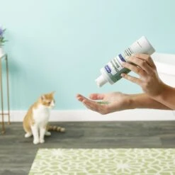 Davis Chlorhexidine Dog & Cat Shampoo -Pet Wellness 125741 PT3. AC SS1800 V1543943441