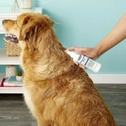 Davis Chlorhexidine Dog & Cat Spray, 8-oz Bottle -Pet Wellness 125745 PT3. AC SS1800 V1543943259