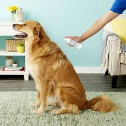 Davis Chlorhexidine Dog & Cat Spray, 8-oz Bottle -Pet Wellness 125745 PT4. AC SS1800 V1543943304