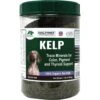Nature's Farmacy Dogzymes Norwegian Kelp Dog Supplement